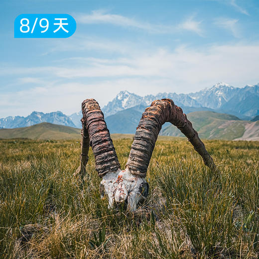 喀班巴依峰｜东喀拉峻｜赏花版&冰川版 新疆史诗级立体景观线 8/9日 商品图7