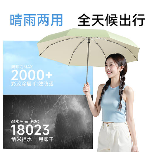 ZUODU左都 撞色节节收 彩胶版 商品图5