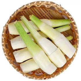 【BF春菜尝鲜】新鲜茭白 当季蔬菜 交白脆嫩多汁可口500g