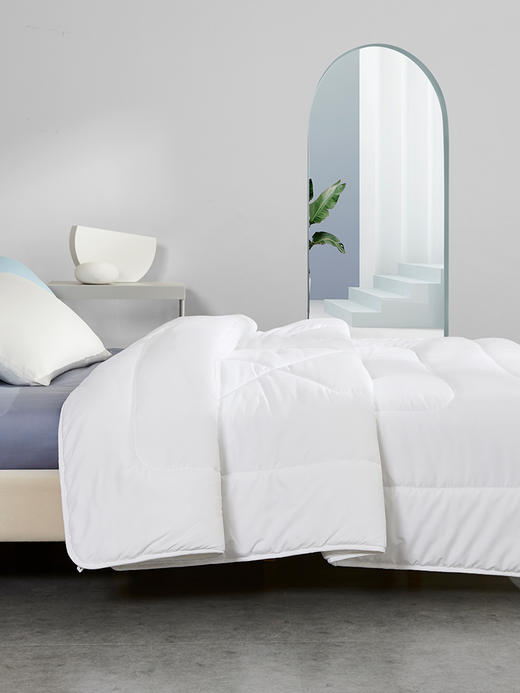 罗莱 TG 罗莱七孔蓬蓬春秋被 商品图1