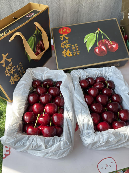 大连美早车厘子 商品图5