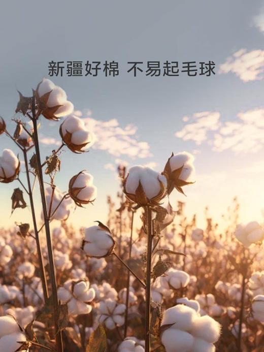 罗莱 XS 云梦薇 四件套 商品图1