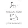 胰腺移植理论与实践精装2026版 宋文利 郑建明 主编 且配套胰腺移植手术教学视频 医学书籍 9787521458152 中国医药科技出版社 商品缩略图4