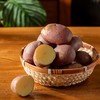 云南高原红皮土豆|比普通土豆更香更粉绵！嘴唇一抿就化了 商品缩略图7