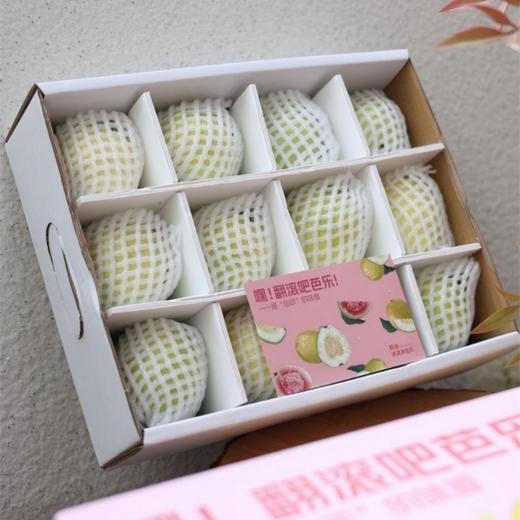 贝壳 冰激淋芭乐  双芭乐口味  奶油芭乐果肉乳白细腻 无粗籽 ， 草莓芭乐  甜中带点鲜酸 比草莓清爽 商品图6