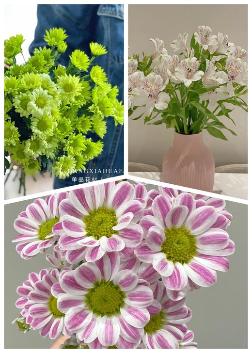 【秒杀14份】白色水仙10支+斑纹小菊5支+绿精灵小菊5支 商品图0