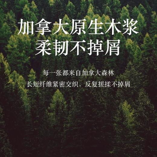罗莱家居 柚家保湿纸巾 商品图2