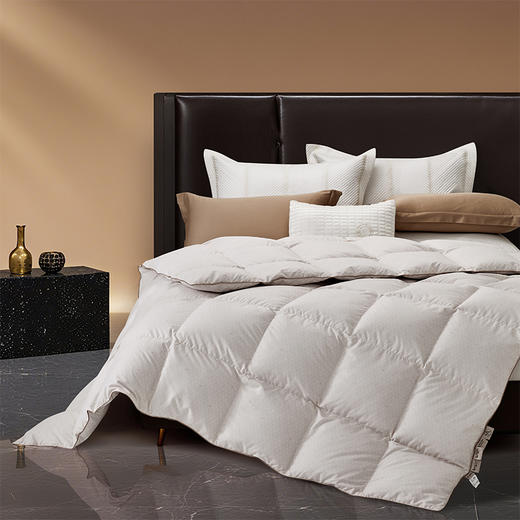 罗莱 TG 超柔A类雪域鹅绒冬被 鎏金 商品图3