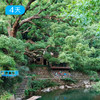 富春山居徒 | 打卡黄公望同款 人文讲师随行  16人精品小团 4日 商品缩略图4