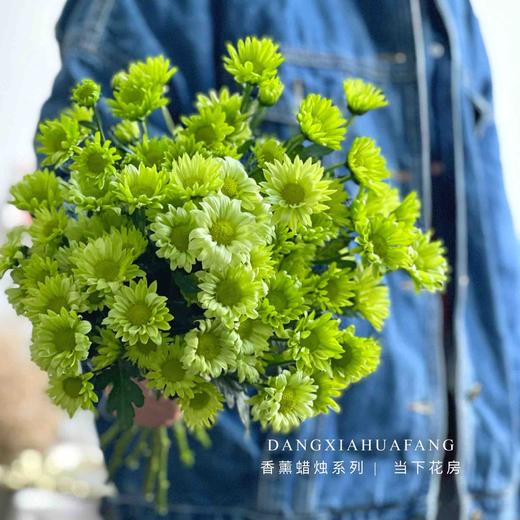 【秒杀14份】白色水仙10支+斑纹小菊5支+绿精灵小菊5支 商品图4