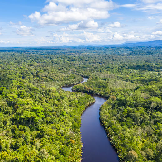 新村开业早鸟！【马来西亚沙巴ClubMed度假村】私享17公顷雨林秘境与4公里私密海岸，邂逅《国家地理》十大最美落日，在沙巴奢享自然与高端度假的双重礼遇~ 商品图8