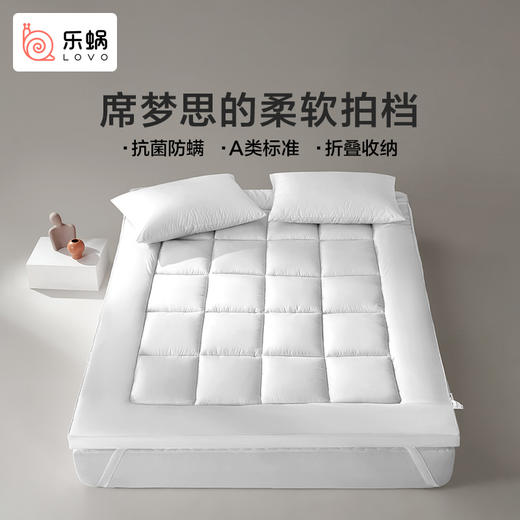 LOVO乐蜗 抗菌防螨立体加厚床垫-max 商品图7
