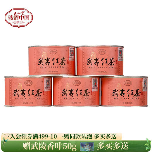 正山堂 武夷红茶 骏眉中国产区茶桃荔香正宗武夷山小种红茶冷泡茶 商品图0