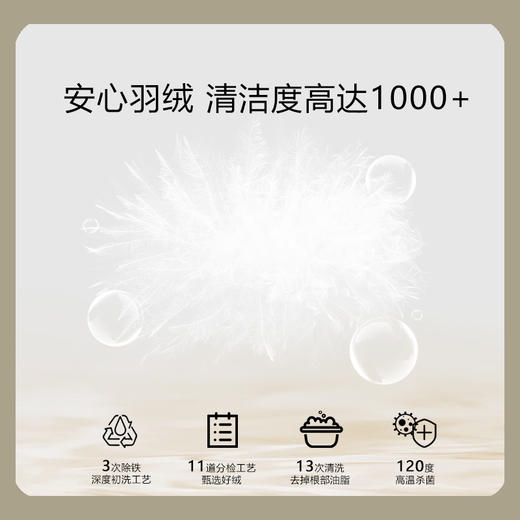 罗孚 95白鹅绒 云感深睡 春/秋被 商品图4