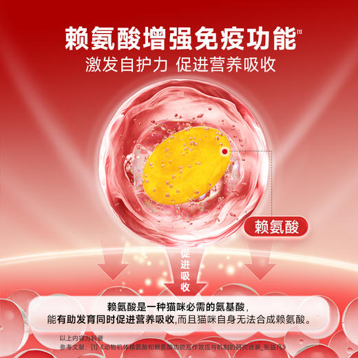 谷登复合维生素片0.5g/片*200片  （猫用） 商品图3