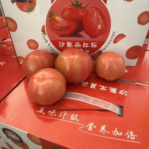 自然熟～普罗旺斯西红柿【净重约4.5斤】：口感绵软，多汁，生吃就很好吃，番茄炒鸡蛋首选。 商品图5