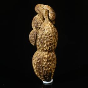 BC.CS3.13-8   加里曼丹沉水花生，3.66g