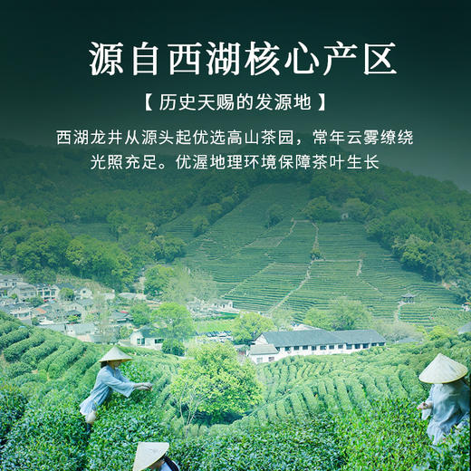 【2026年新茶预售】狮峰丨西湖龙井 有茗礼盒 明前特级 绿茶 150g，新茶预计4月5日发货 商品图2