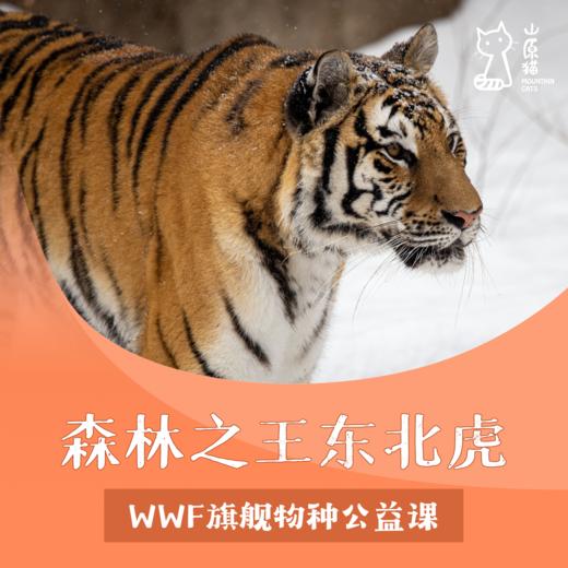 「04月12日 周日下午 」森林之王东北虎 · 公益科普课 商品图0