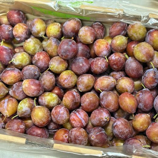 【智利西梅】新鲜空运货，果肉厚实，肉质甜嫩水润爽口，低热量且饱腹感强，瘦身达人必备。2斤尝鲜装，江浙沪皖顺丰包邮~ 商品图2