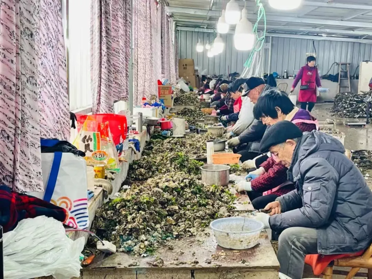 清明五一净滩蚵仔屿2日亲子游，认证公益时长为地球做件小事，深入牡蛎源头每人带走5斤，海洋生物研学/滩涂&沙滩趣玩，北纬30°的守护