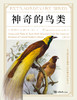 神奇的鸟类 商品缩略图1