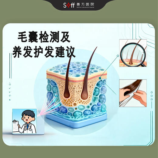 毛囊检测及养发护发建议（1次） 商品图0