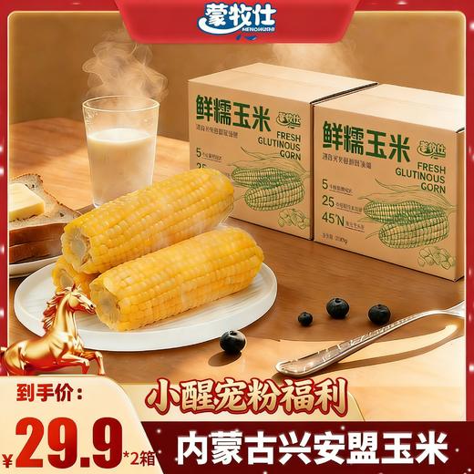 【醒粉福利29.9元买1箱送1箱】内蒙兴安盟玉米·鲜糯玉米香香糯糯 商品图0