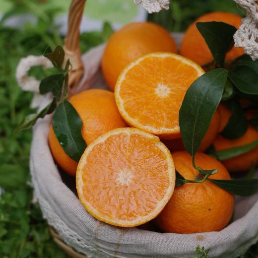 【花香蜜柑】来自云南3000米干热河谷的， 300天阳光淬炼，一咬爆汁像在喝柑橘果冻，徒手榨出半杯鲜果汁，果农坚持传统农耕，拒绝催熟，14°+黄金甜度，从舌尖甜到心尖。 商品图4