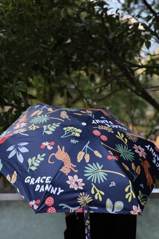 去年卖了4万把！爆款新花色上新🆕比手机还轻的“羽毛伞” 【韩国🇰🇷AVRN法式高级感晴雨伞合集】伞面高密织伞布UPF＞50+狂晒不黑 💰吊牌价：298元 💰开团价：39.9元 商品图3