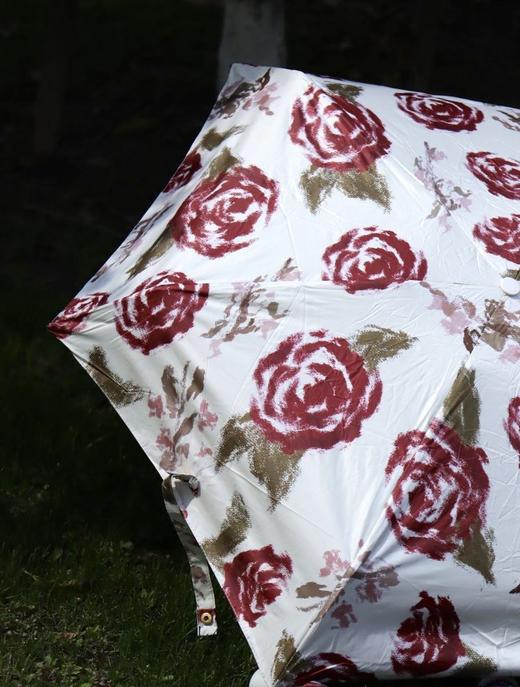 去年卖了4万把！爆款新花色上新🆕比手机还轻的“羽毛伞” 【韩国🇰🇷AVRN法式高级感晴雨伞合集】伞面高密织伞布UPF＞50+狂晒不黑 💰吊牌价：298元 💰开团价：39.9元 商品图5