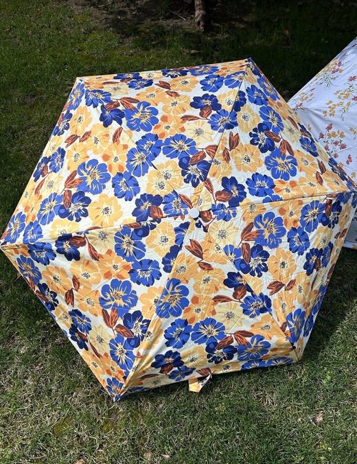 去年卖了4万把！爆款新花色上新🆕比手机还轻的“羽毛伞” 【韩国🇰🇷AVRN法式高级感晴雨伞合集】伞面高密织伞布UPF＞50+狂晒不黑 💰吊牌价：298元 💰开团价：39.9元 商品图6