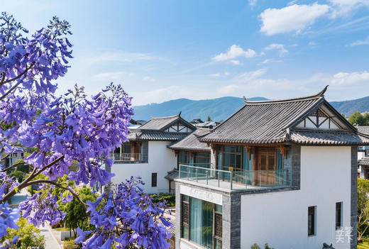 4月23日云南蓝花楹、滇越铁路、抚仙湖红沙滩、建水十七孔桥、梦幻蚁工坊6天Y 商品图12