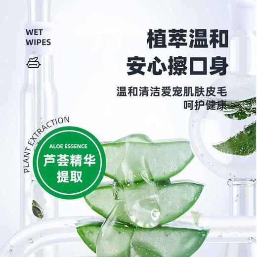 新款增量 日本KOJIMA宠物湿巾猫咪去泪痕湿巾100片狗湿巾清洁用品 商品图3