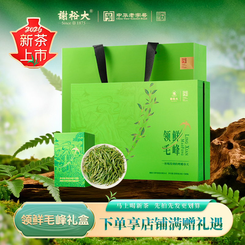 2026新茶上市谢裕大明前特级领鲜毛峰礼盒200g安徽黄山绿茶送礼推荐