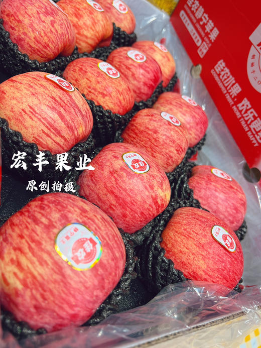 宏丰精选，佳农苹果 大品牌货 脆甜爽口，零售15.8元一斤 商品图10