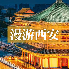 边玩边养老丨漫游西安，爬古城墙摸老砖，逛大唐不夜城看花灯，在钟鼓楼感受千年历史！