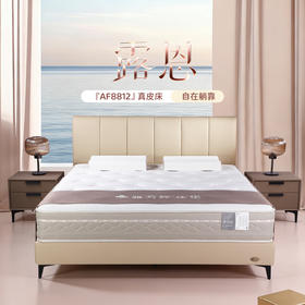 AF8812真皮床架