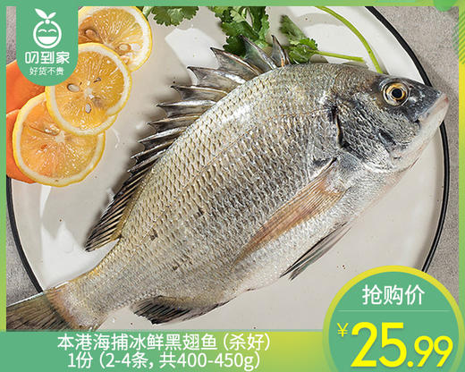 本港海捕冰鲜黑翅鱼（杀好）/1份（2-4条，共400-450g） 商品图0