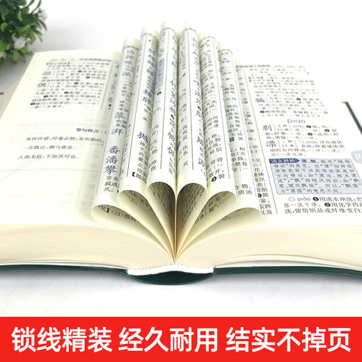 新编学生字典：双色本 商品图3