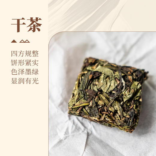 【甘活坊】2.0老枞漳平水仙纸盒100g 商品图2