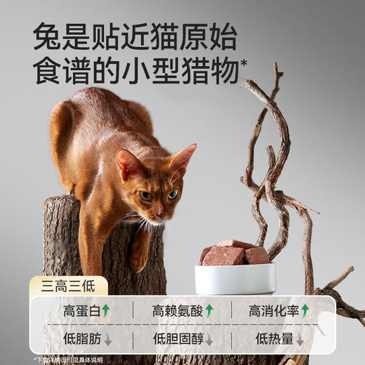 帕特诺尔全价兔肉配方猫粮 （生骨肉冻干）12g*20袋 商品图2