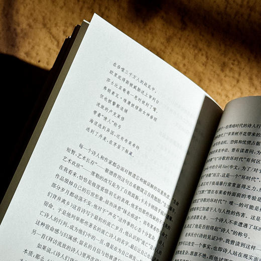 早上苍老 傍晚年轻 德语文学之镜 豆瓣2024年度译者黄雪媛首部文学随笔集 商品图12