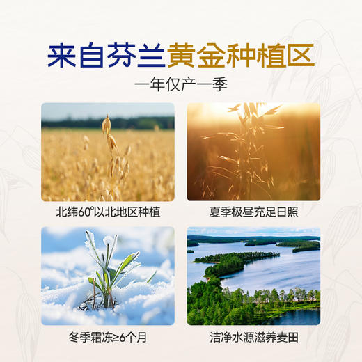 【芬兰原装进口】百年国民级品牌Elovena燕麦 刚切粗粮 富含膳食纤维、β-葡聚糖 更友好的升糖 黄金种植区从田间到成品纯净供应 商品图3