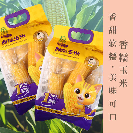 米知客香糯黄玉米内蒙古采摘真空锁鲜袋装粒粒金黄自然甜糯配料干净老人小孩放心吃 商品图0