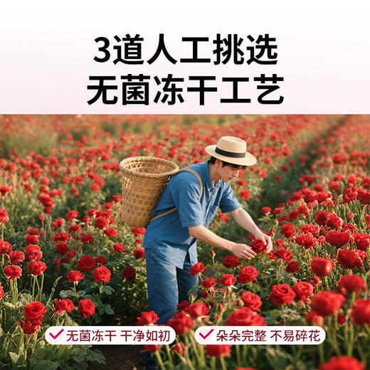【春季茶礼】茶叶 花间 莫奈墨红玫瑰  春季茶礼 花茶 茶叶礼盒 茶饮 五虎 150g 商品图3