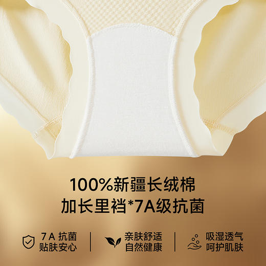 草本初色 X黑绷带轻塑裤2.0升级版 女士内裤 山茶花精油润肤 加长里裆 7A抗菌 530AK 商品图2