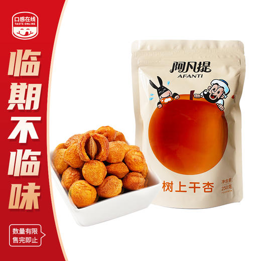 阿凡提·树上干杏250g（2026年5月12日到期）介意者慎拍 商品图0