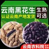 【产地直发❗️农科院云南黑花生】自然生长，颗粒饱满，营养丰富，新货带壳生的炒熟普洱特产富黑皮花生米硒 商品缩略图3