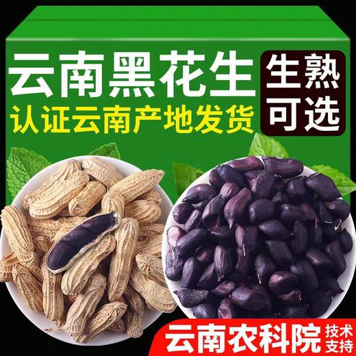 【产地直发❗️农科院云南黑花生】自然生长，颗粒饱满，营养丰富，新货带壳生的炒熟普洱特产富黑皮花生米硒 商品图3
